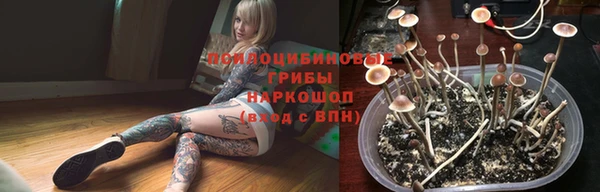 гидра Михайловка