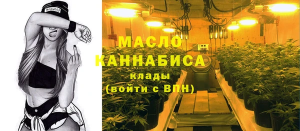 гидра Михайловка