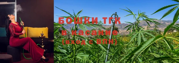 гидра Михайловка