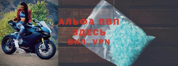 гидра Михайловка