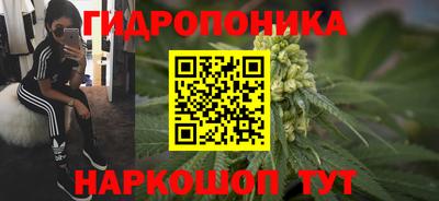 гидра Краснодар