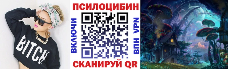 Псилоцибиновые грибы Psilocybine cubensis  Хасавюрт 